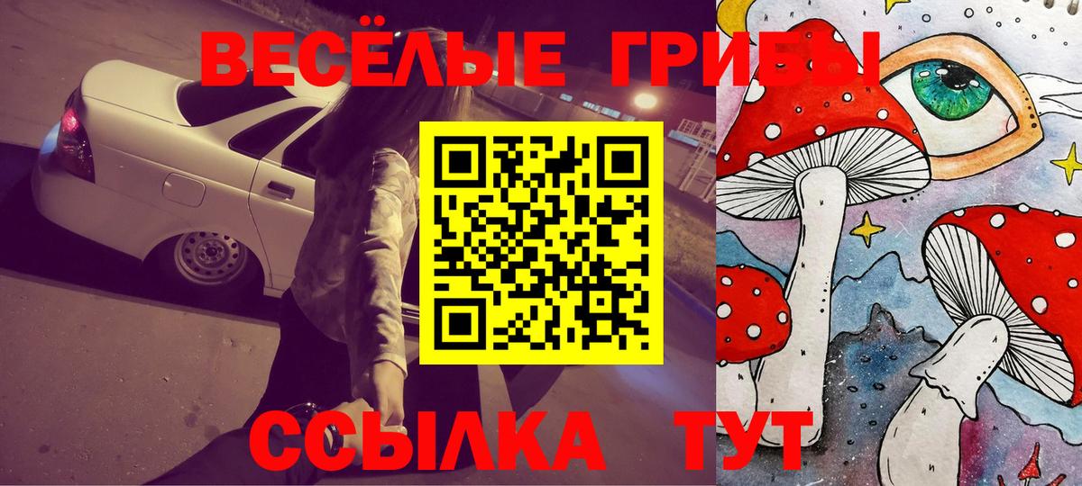 Галлюциногенные грибы GOLDEN TEACHER  Вход с VPN  Камышин 