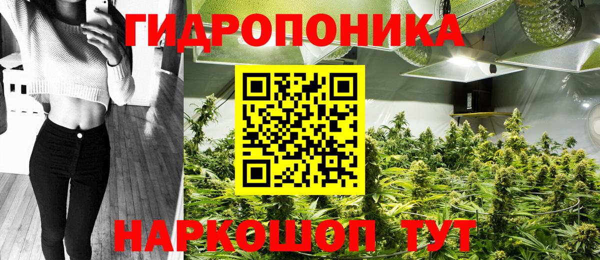 Конопля Bruce Banner  Шишки марихуана марихуана  Камышин  Конопля AK-47  Вход с VPN 